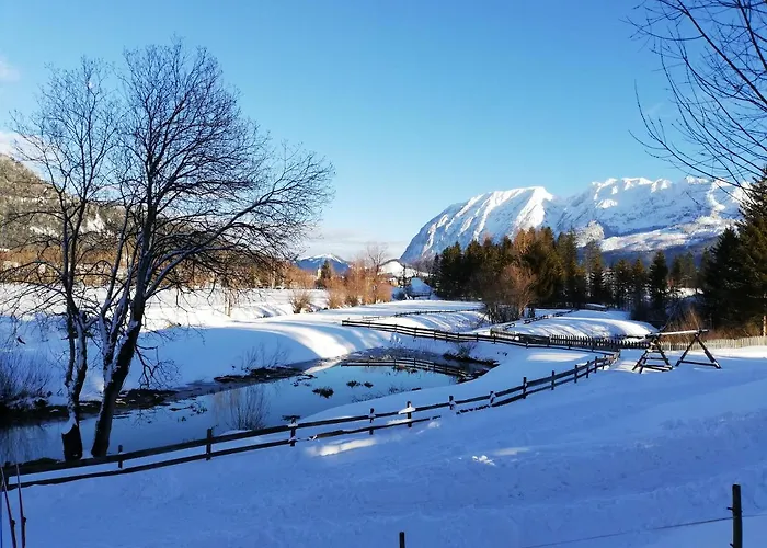 Appartement Fuchs Bad Mitterndorf